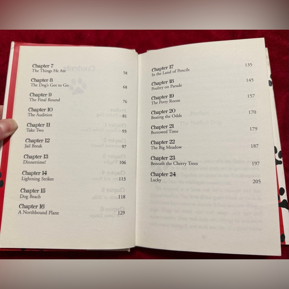 HARDBACK MARLEY AND ME BOOK NO CREASES FLAWS OR WRITING PERFECT WITH PICTURES! 🐕 - Picture 8 of 13